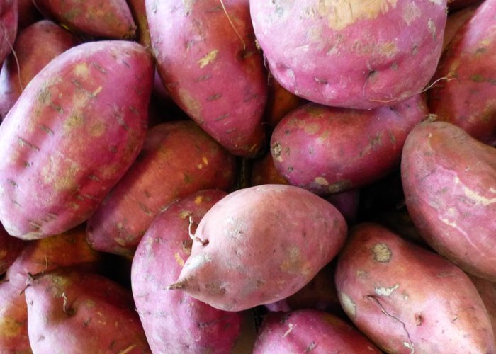 Batata