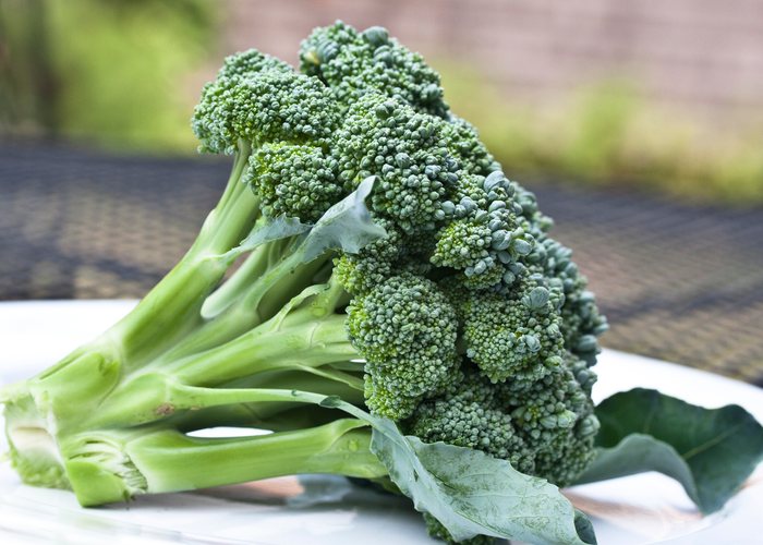 Brócoli