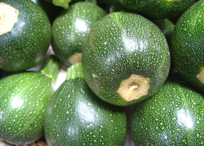 Calabacín redondo
