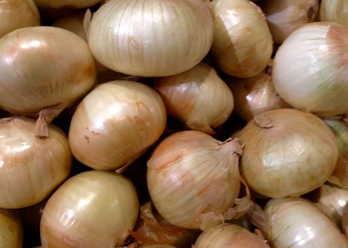 Cebolla de importación