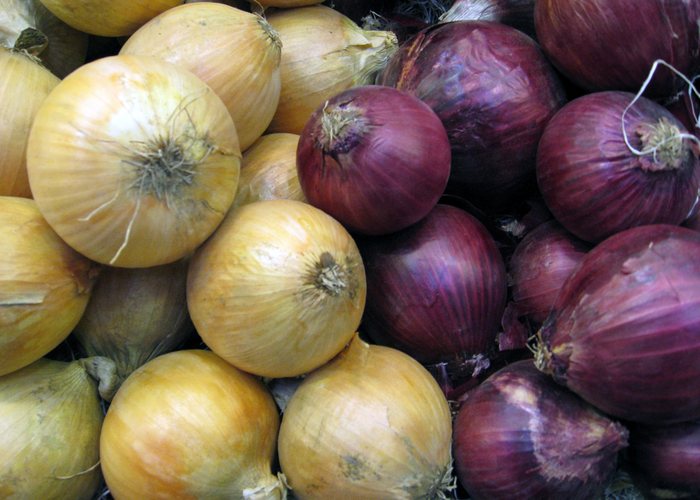 Cebolla del país