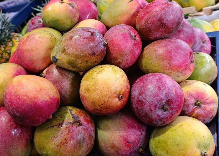 Mango