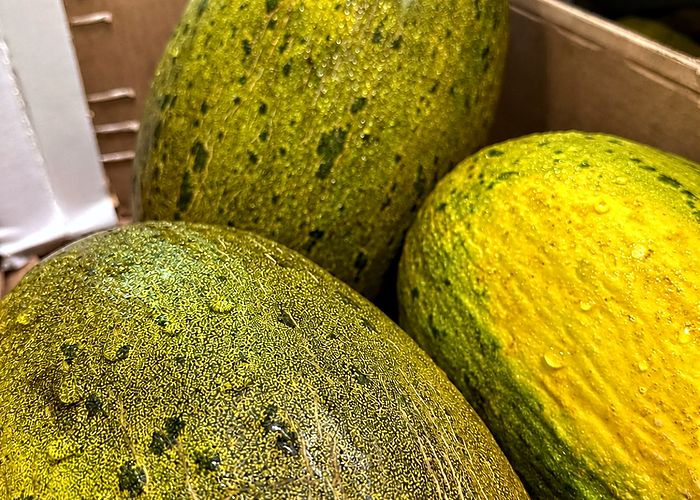 Melón piel de sapo