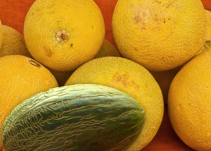 Melón