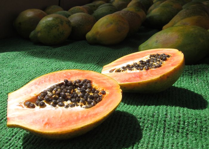 Papaya