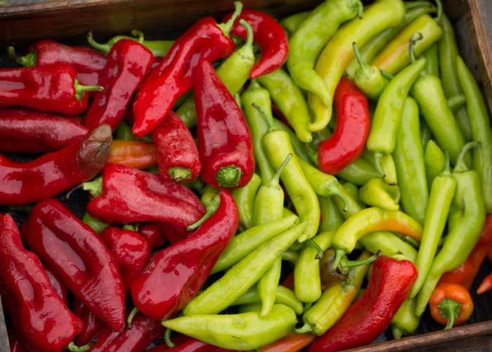 Pimiento italiano
