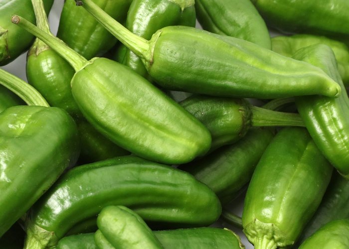 Pimiento de Padrón