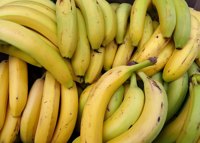 Plátano
