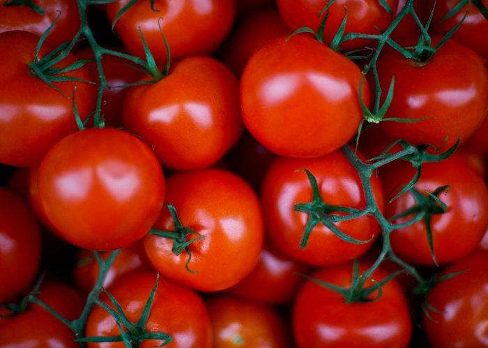 Tomate en rama